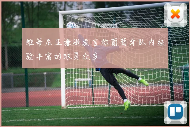 维蒂尼亚谦逊发言称葡萄牙队内经验丰富的球员众多